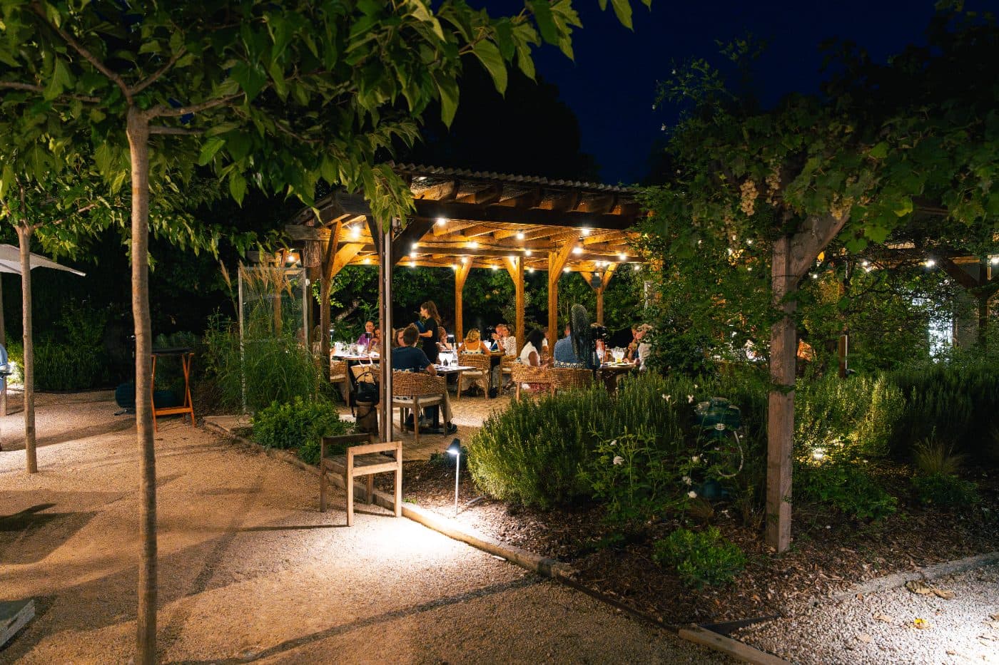 La pergola de nuit